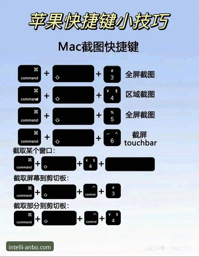 安博电脑版 安博电脑版安装与使用完全教程:从下载到高效操作指南